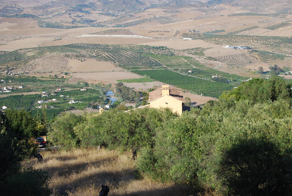 Hidden Valley Andalucia Alora Kültér fotó